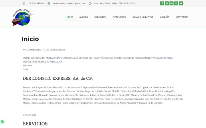 Screenshot of derlogistic.com