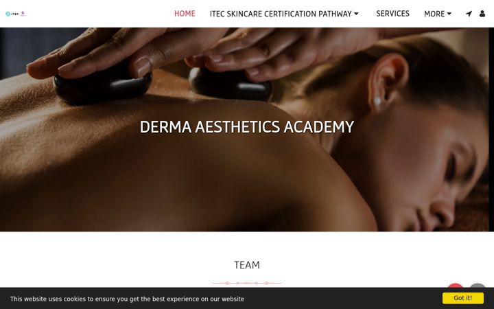 Screenshot of dermaaestheticsacademy.org