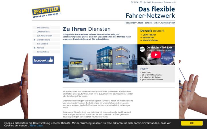 Screenshot of dermetzler.com