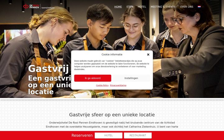 Screenshot von derooipanneneindhoven.nl