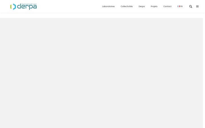 Screenshot von derpa.fr