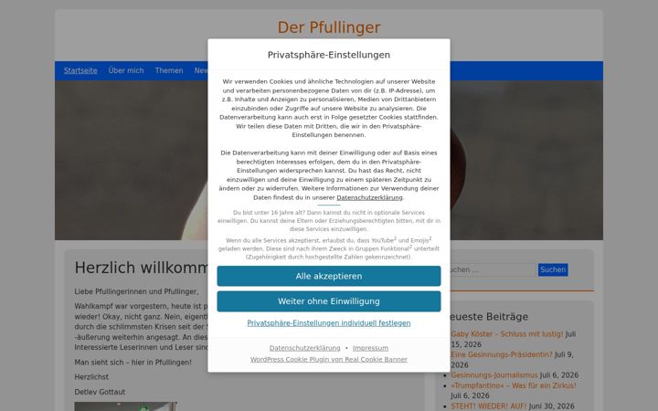 Screenshot of derpfullinger.de