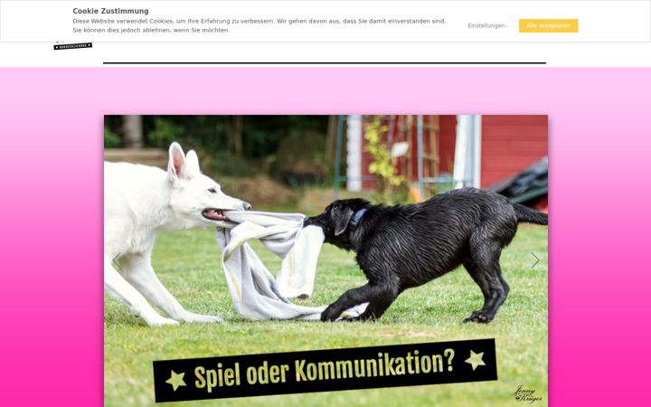 Screenshot stránky dertutwas.de