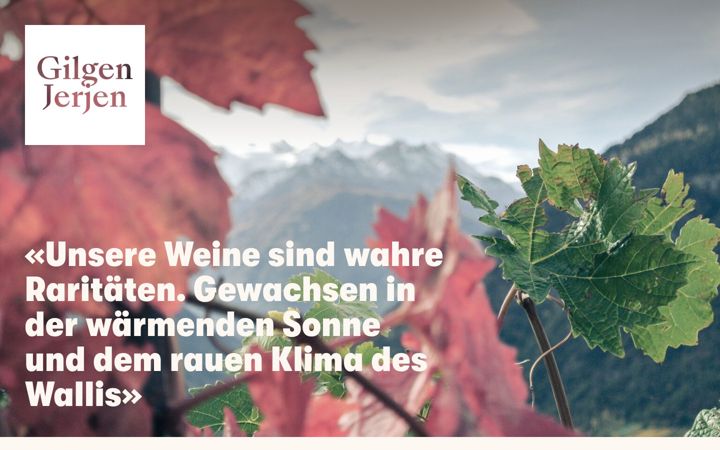 Screenshot of derweinbauer.ch