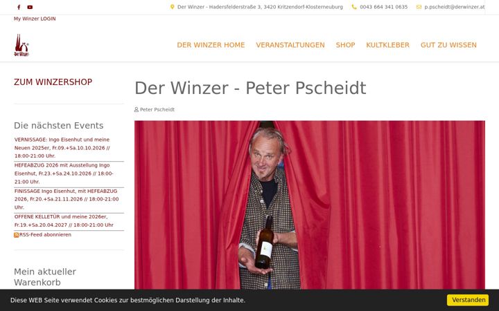 Screenshot of derwinzer.at