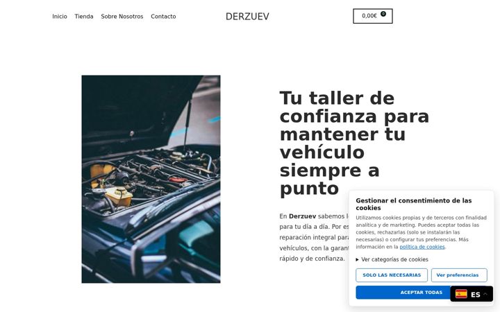 Screenshot of derzuev.com