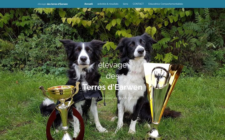 Screenshot of des-terres-d-earwen.com