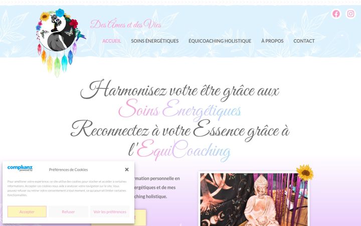 Screenshot of desamesetdesvies.fr