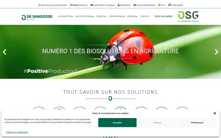 Screenshot of desangosse.fr