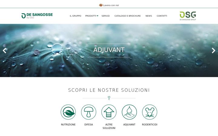 Screenshot of desangosse.it
