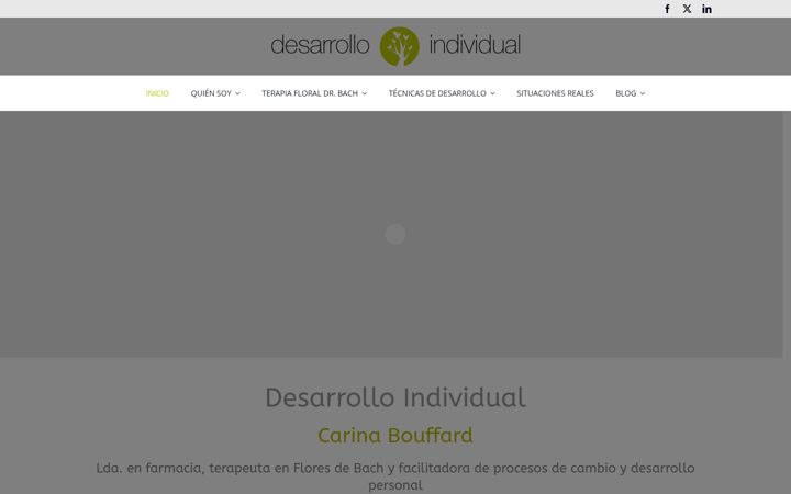 Screenshot of desarrolloindividual.com