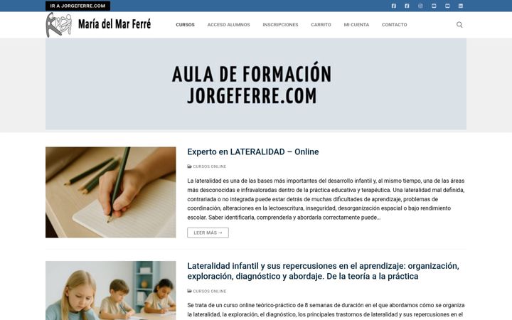Screenshot of desarrolloinfantilferre.com