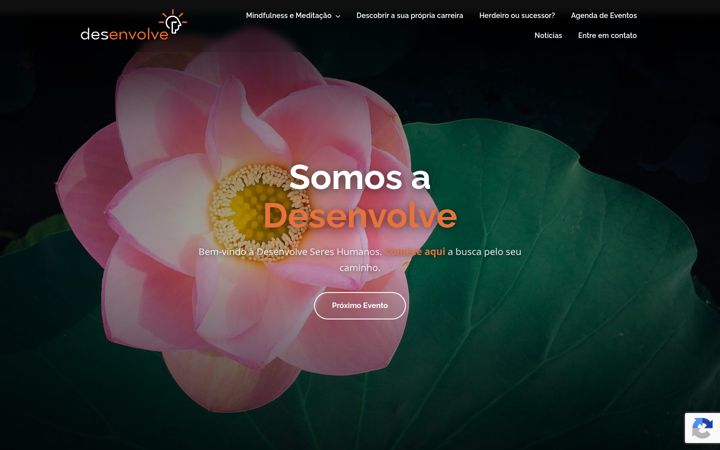 Captura de ecrã de desenvolvesh.com.br