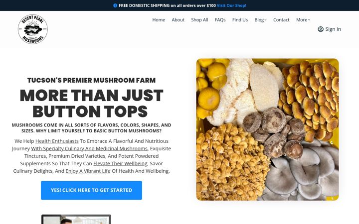 Screenshot of desertmushroom.com