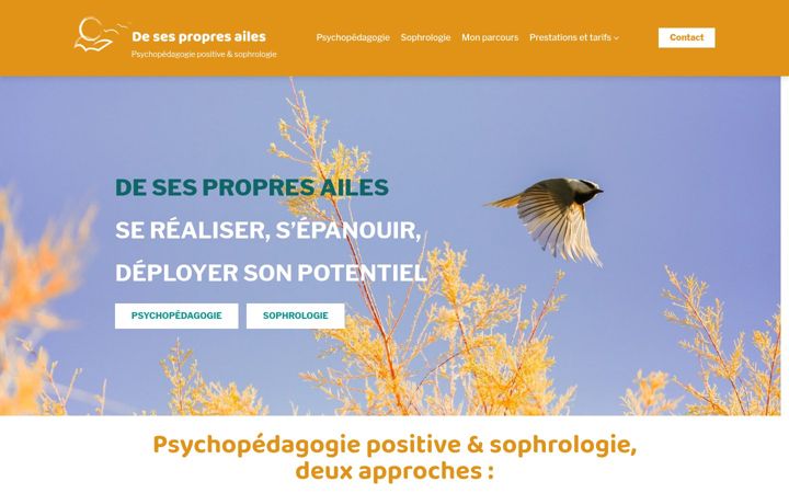 Screenshot of desespropresailes.com