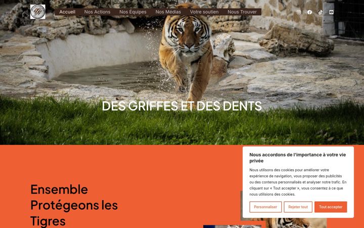 Screenshot του desgriffesetdesdents.fr