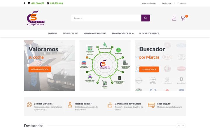 Screenshot of desguacecampinasur.com