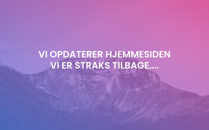 Screenshot of designpaneler.dk