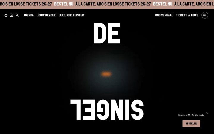 Screenshot of desingel.be