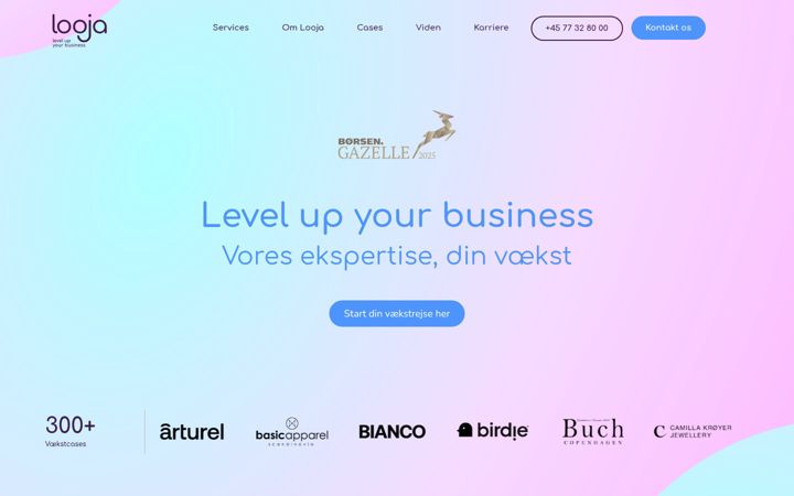 Screenshot of desino.dk