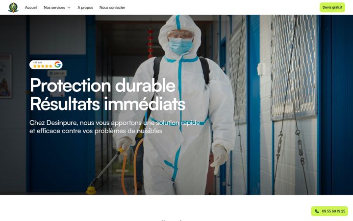 Screenshot of desinpure.com