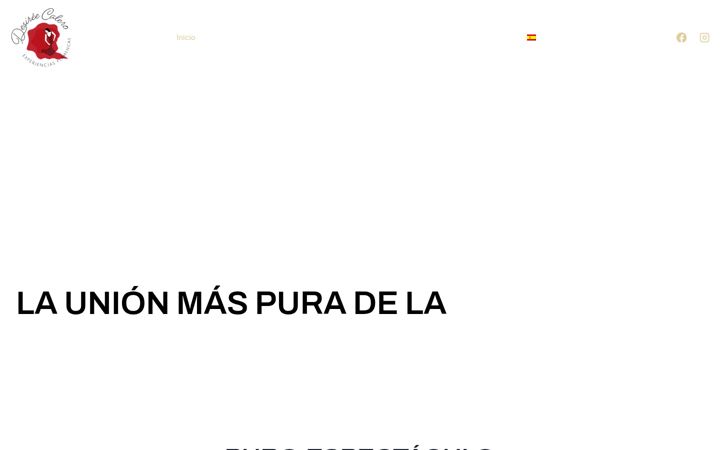 Screenshot of desirecalero.com