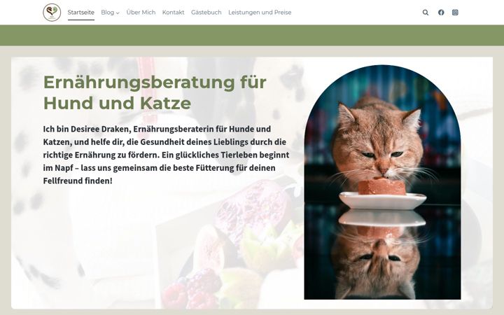 Screenshot of desis-napfzauber.de