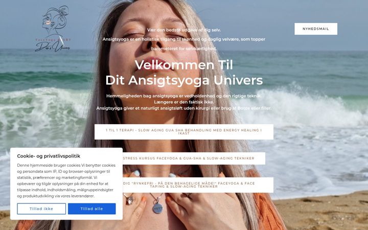 Screenshot of desisunivers.dk