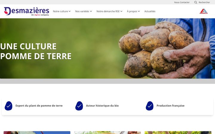 Screenshot of desmazieres.fr