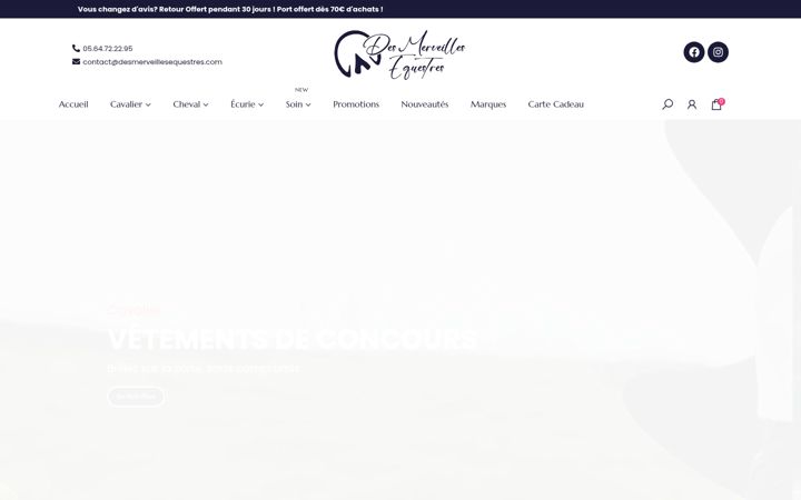 Screenshot of desmerveillesequestres.com