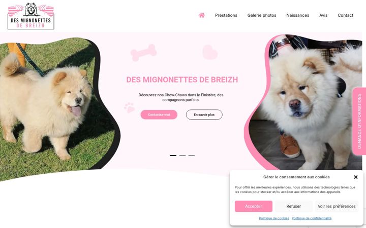 Screenshot of desmignonnettesdebreizh.fr