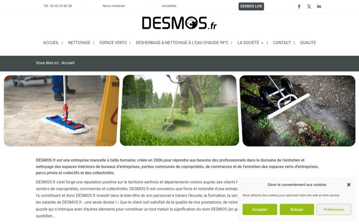 Screenshot von desmos.fr