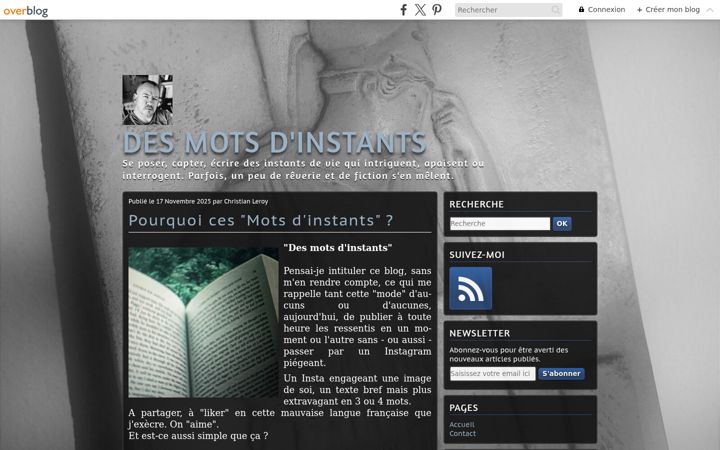 Screenshot of desmotsdinstants.com