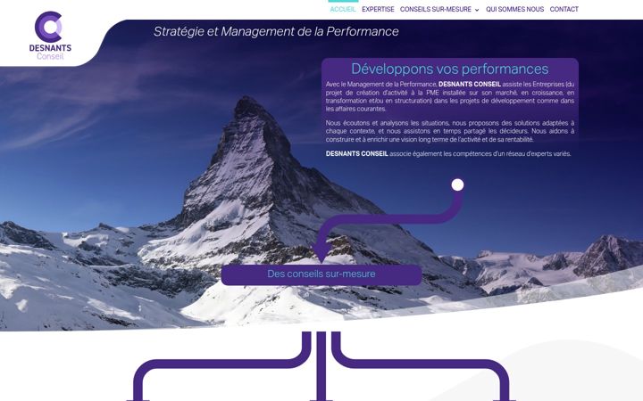 Screenshot of desnants-conseil.fr