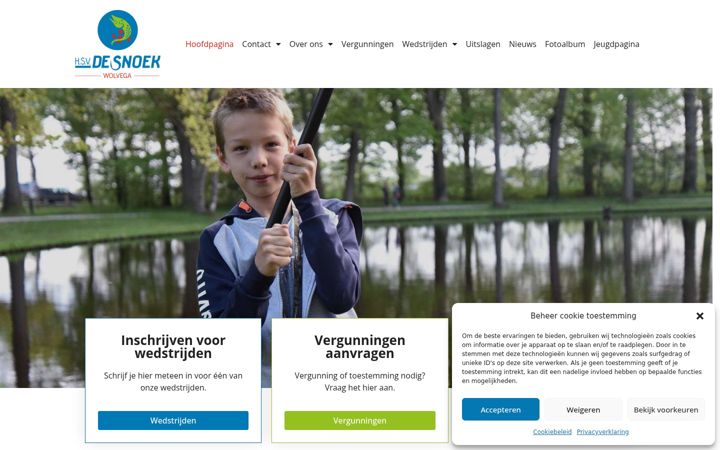 Snímek obrazovky desnoek.nl