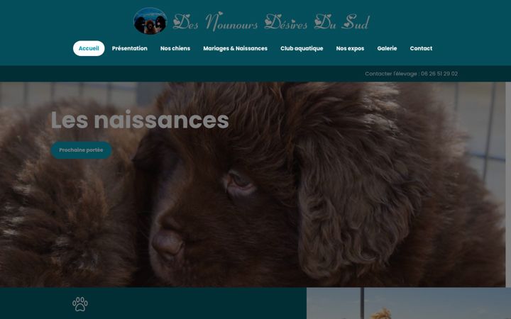 Screenshot von desnounoursdesiresdusud.fr
