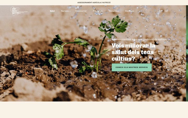 Screenshot of desocarrel.com