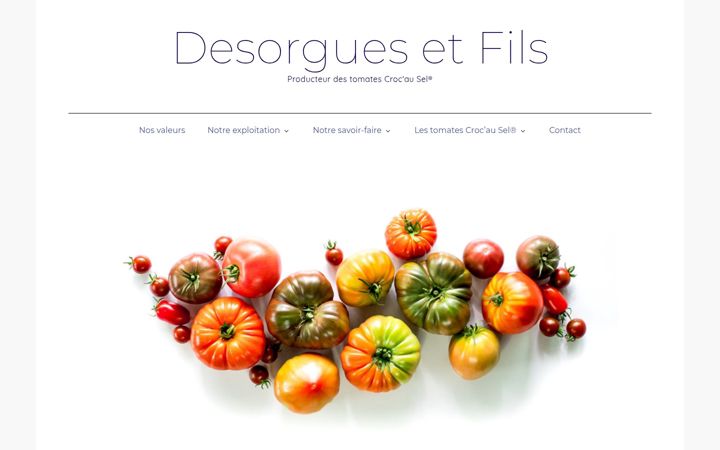 Screenshot of desorgues.fr
