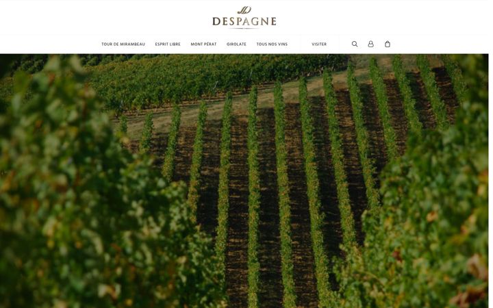 Screenshot von despagne.fr