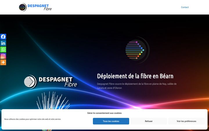 Screenshot of despagnetfibre.com