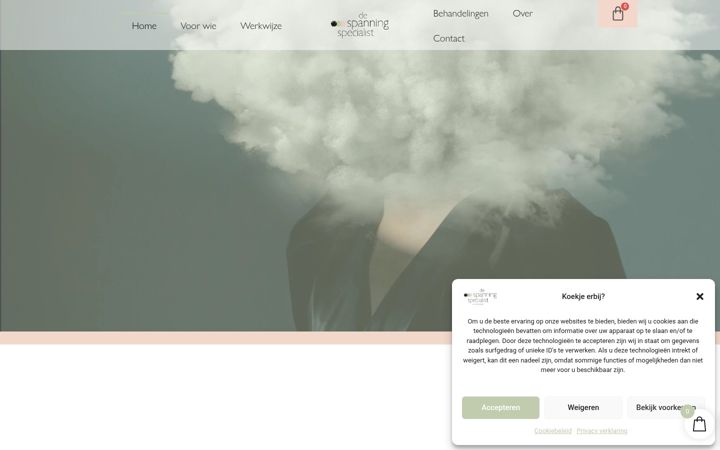 Screenshot of despanningspecialist.nl