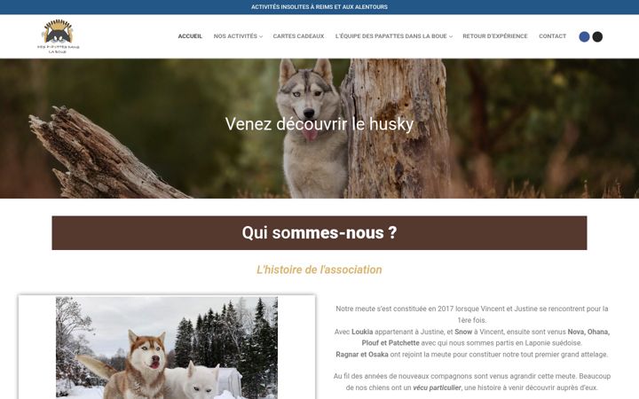 Screenshot of despapattesdanslaboue.fr