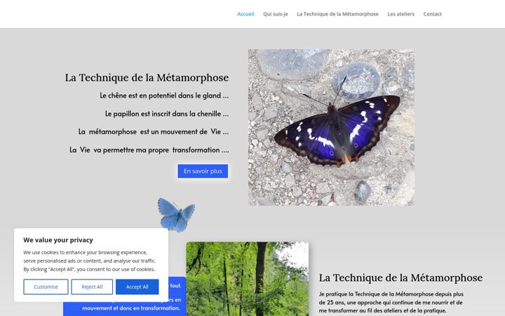 Screenshot of despapillonsbleus.com