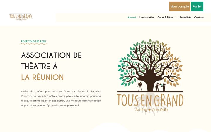 Screenshot of despetitsrien.fr