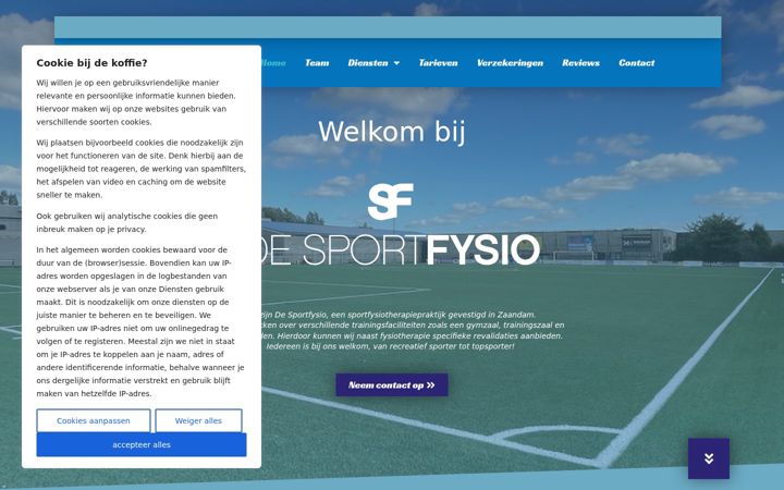 Screenshot of desportfysio.nl