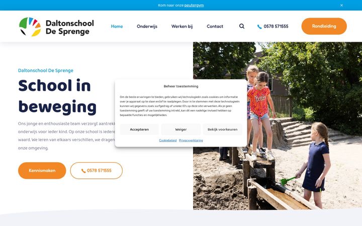 Screenshot of desprenge-vaassen.nl