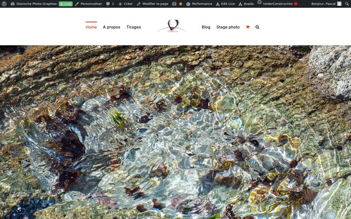Screenshot of desrochephotographies.com