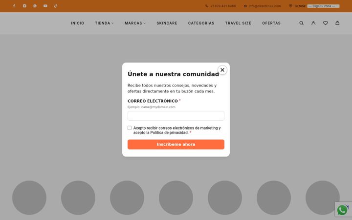 Screenshot of dessteneesupply.com