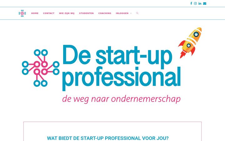 Screenshot di destartupprofessional.nl