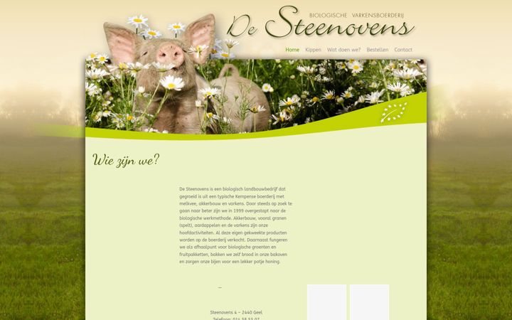 Screenshot of desteenovens.be